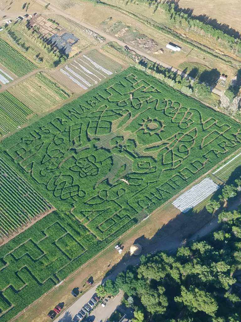 How Do They Do That? The Corn Maze at Chatfield Farms